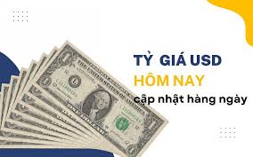 Tỷ giá USD hôm nay 6-1: Đồng USD sụt giảm, thị trường trong nước ổn định